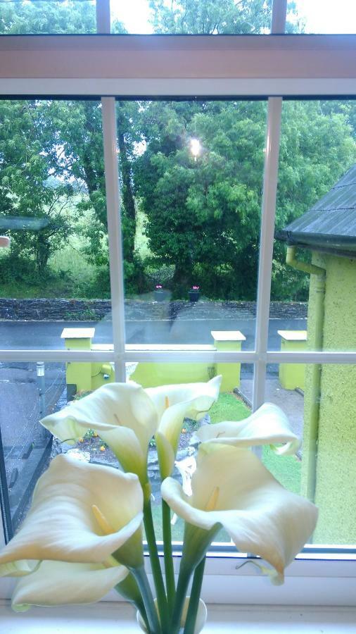 Gortnaboul House Bed & Breakfast Kilgarvan Luaran gambar